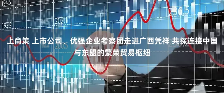上尚策 上市公司、优强企业考察团走进广西凭祥 共探连接中国与东盟的繁荣贸易枢纽